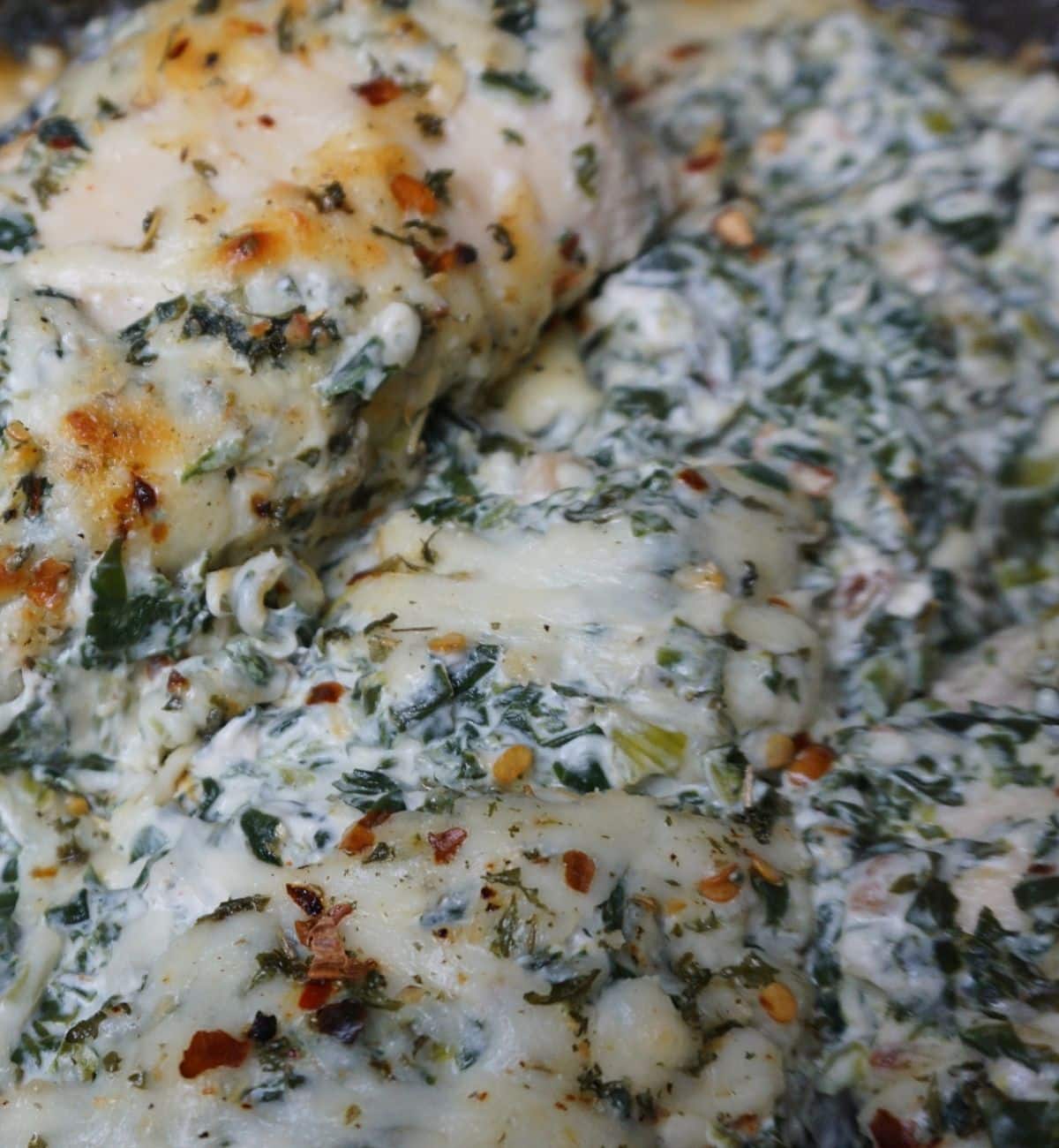 close up of cream cheese, spinach and melted cheese on top of chicken breasts