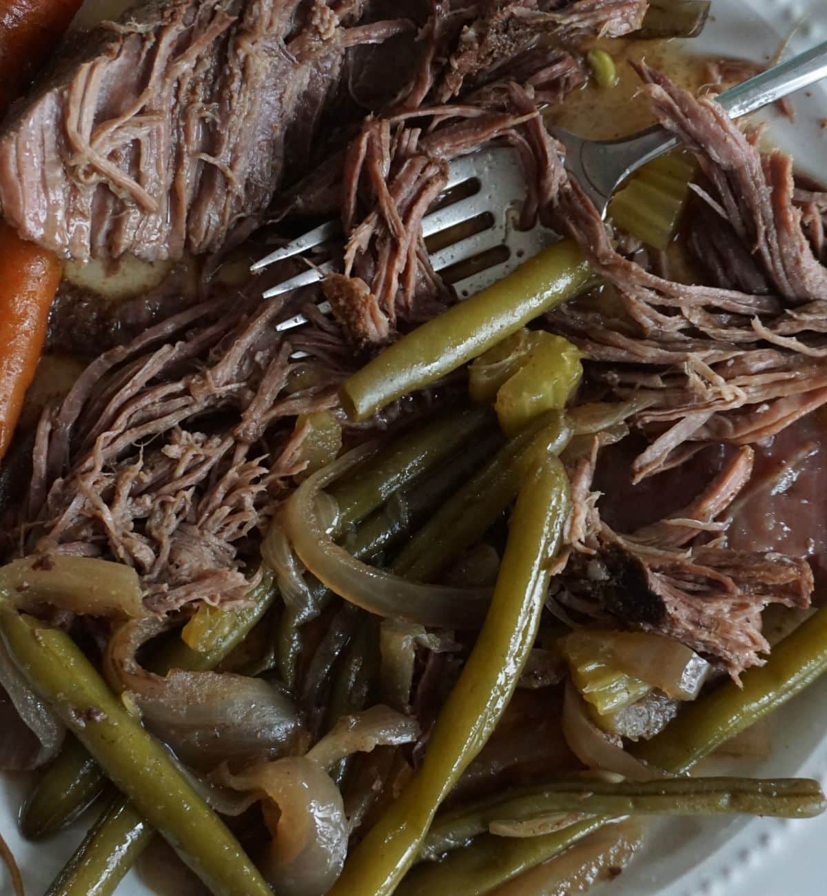 close up of shredded beef stew with green beans and onions