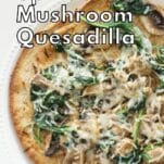 spinach mushroom quesadilla