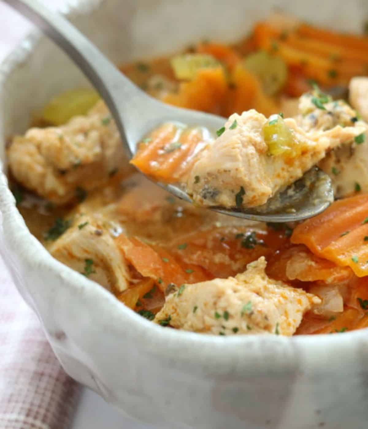 spoonful of turkey soup