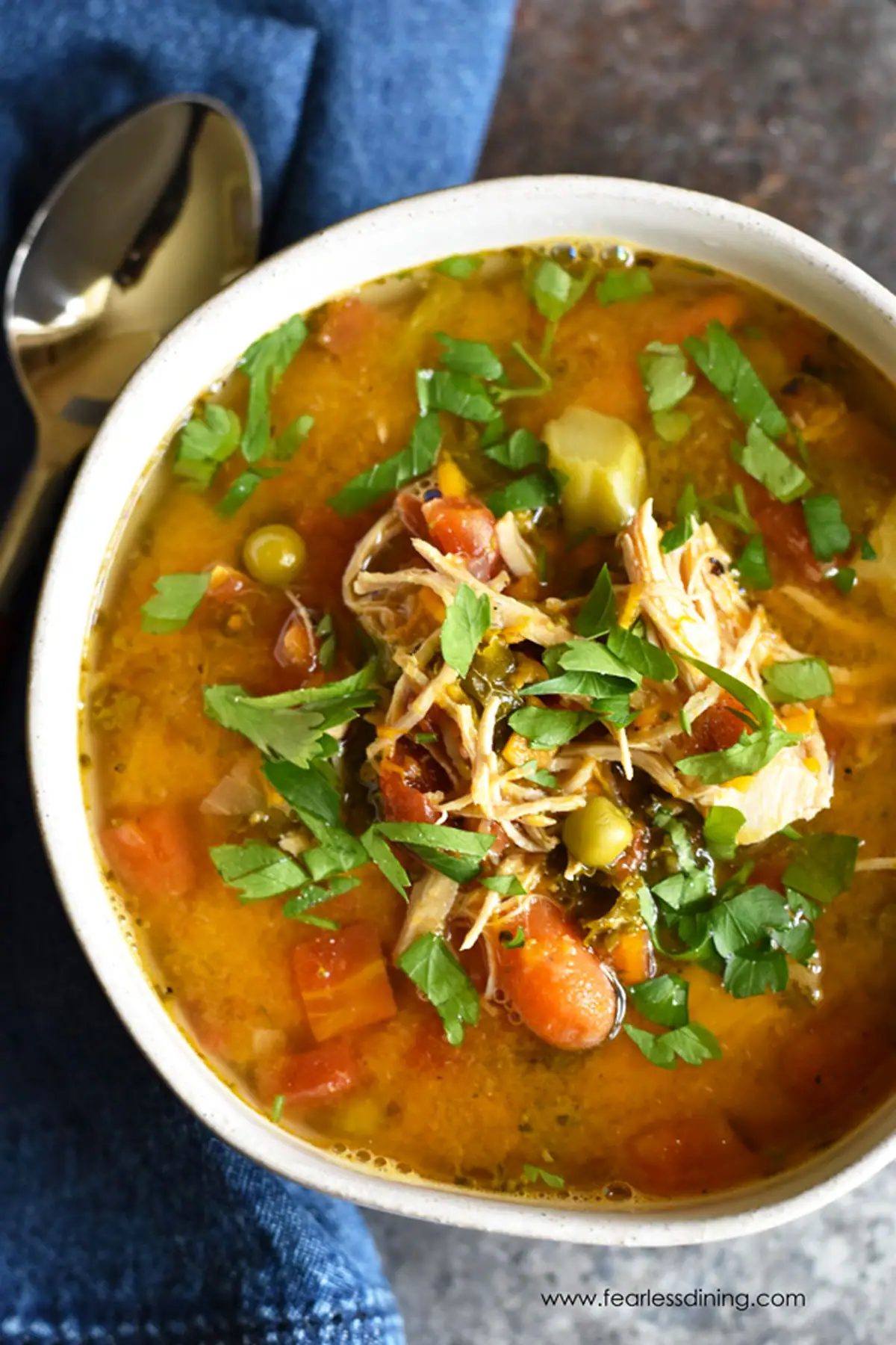 instant pot chicken veggie soup in a bowl with shredded chicken on top