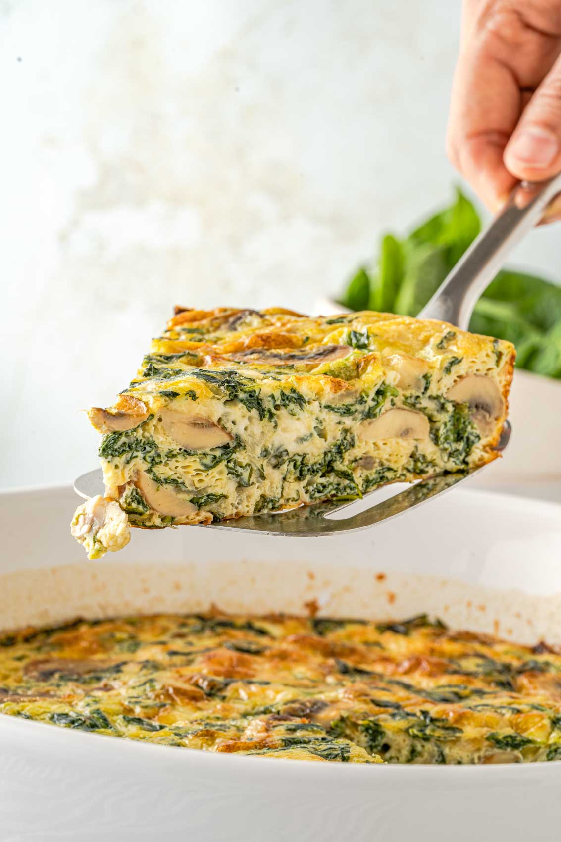 slice of frittata with mushrooms and spinach being lifted from a casserole dish