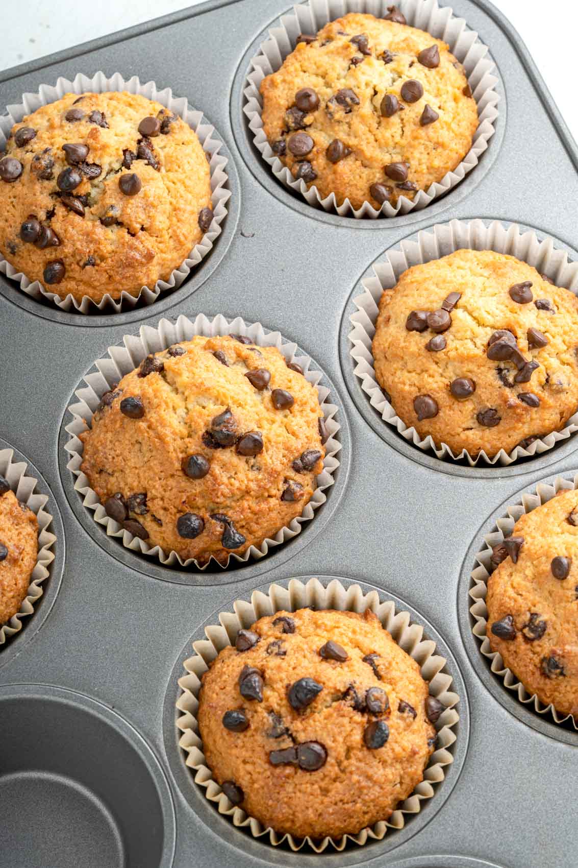 chocolate chip muffins in a muffin pan